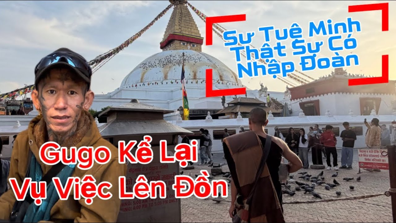 SƯ TUỆ MINH NHẬP ĐOÀN HAY KHÔNG..?? GUGO KỂ LẠI SỰ VIỆC LÊN ĐỒN #tuananhtv  #suminhtue 
