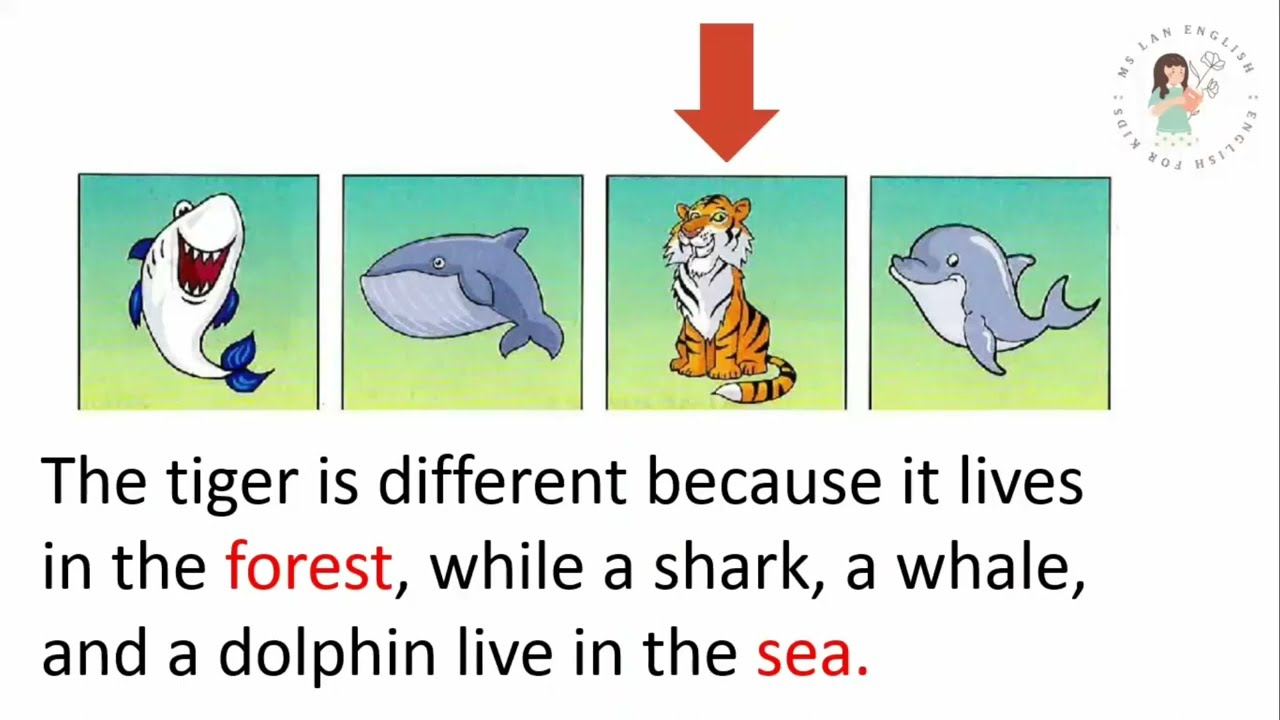 MOVERS 1 2018 TEST 3.3 SPEAKING - FIND THE DIFFERENT ONES