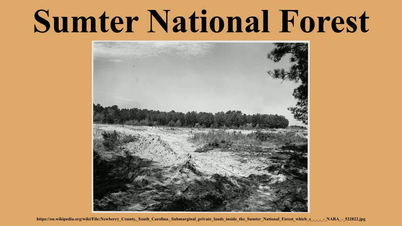 Sumter National Forest