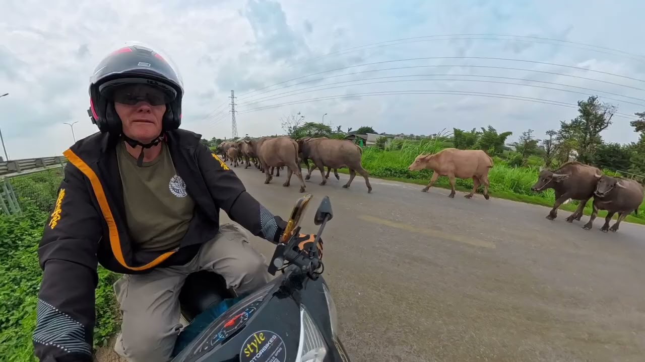 Episode Fifteen, Day 15, Việt Aus Adventures 🇻🇳🇦🇺🛵🛵😁 Phu Ly to Hà Nội.