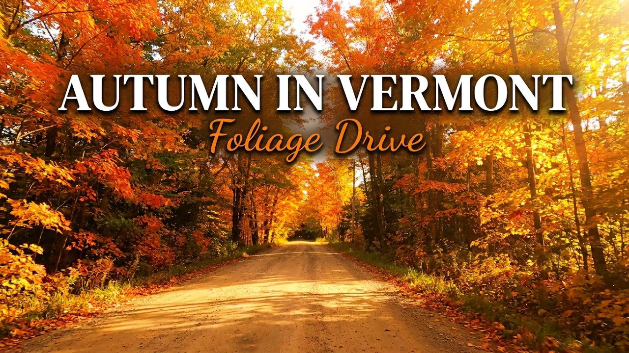 🍃🍂 Driving through beautiful Autumn Vermont Scenery 🍂🍃