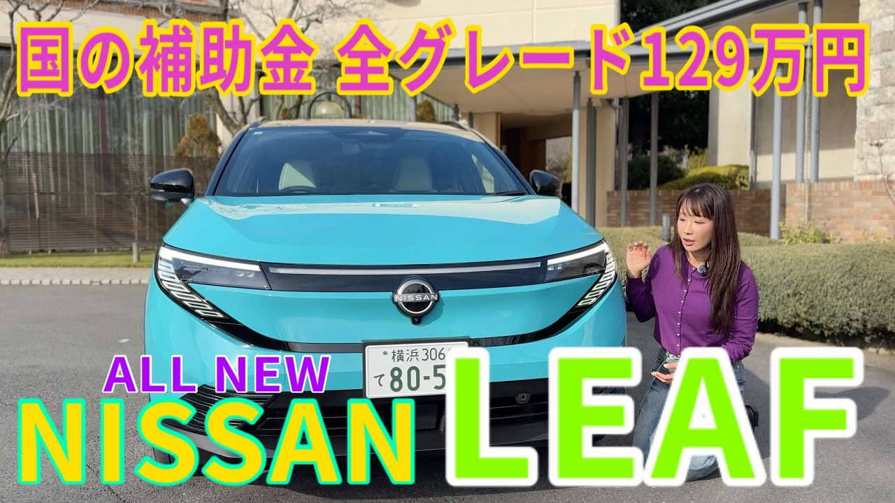 New Leaf / Nissan NISSAN [Интерьер, экстерьер и удобство использования]