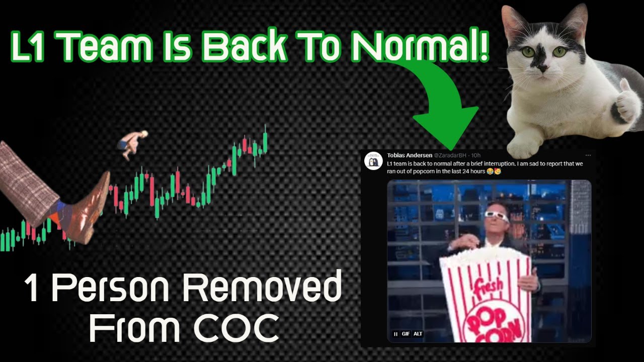 Terra Luna Classic | L1 Team Is Back To Normal! 1 Person Removed From COC