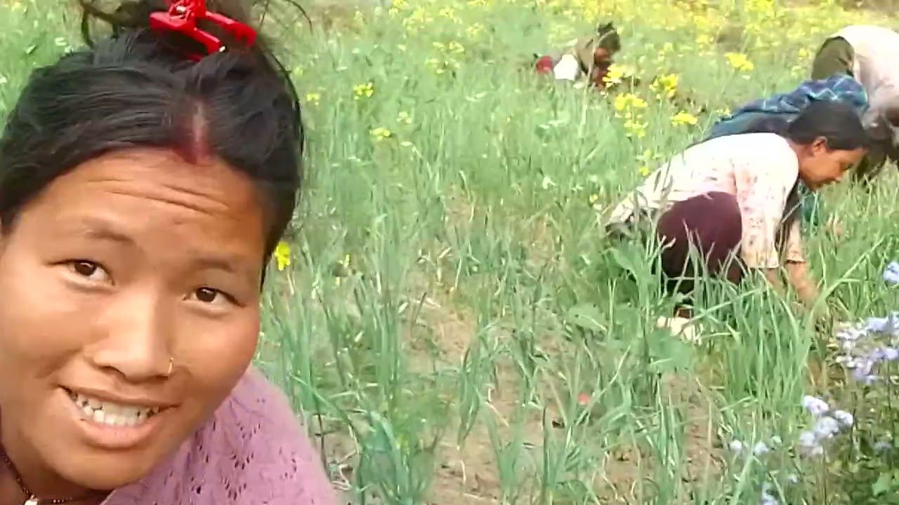 गाउँ ले पारा मा बोल्दै छम साथी मन परे लायक कमेन्ट सेयर गर्नु होला 🙏🙏🙏🙏🥀👍👍💯🎉🥳
