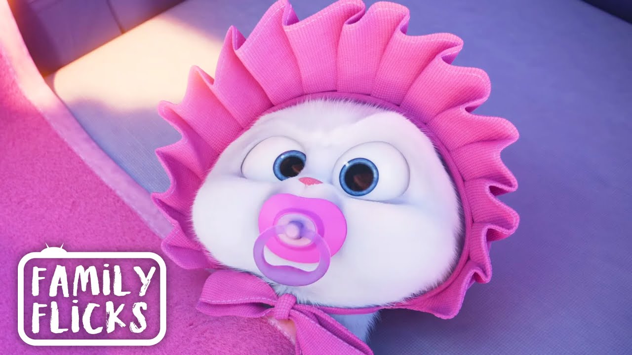 Chasing Animal Control | The Secret Life Of Pets (2016) | Family Flicks