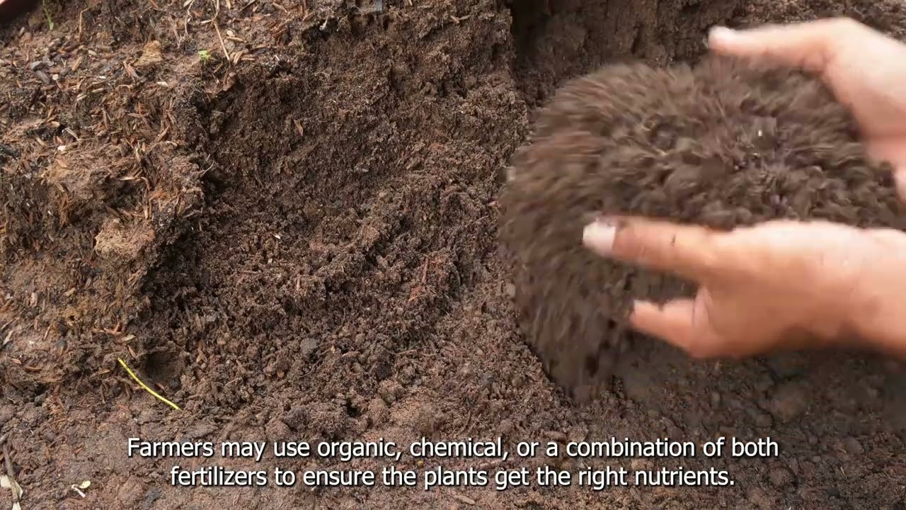 7. Nutrient management