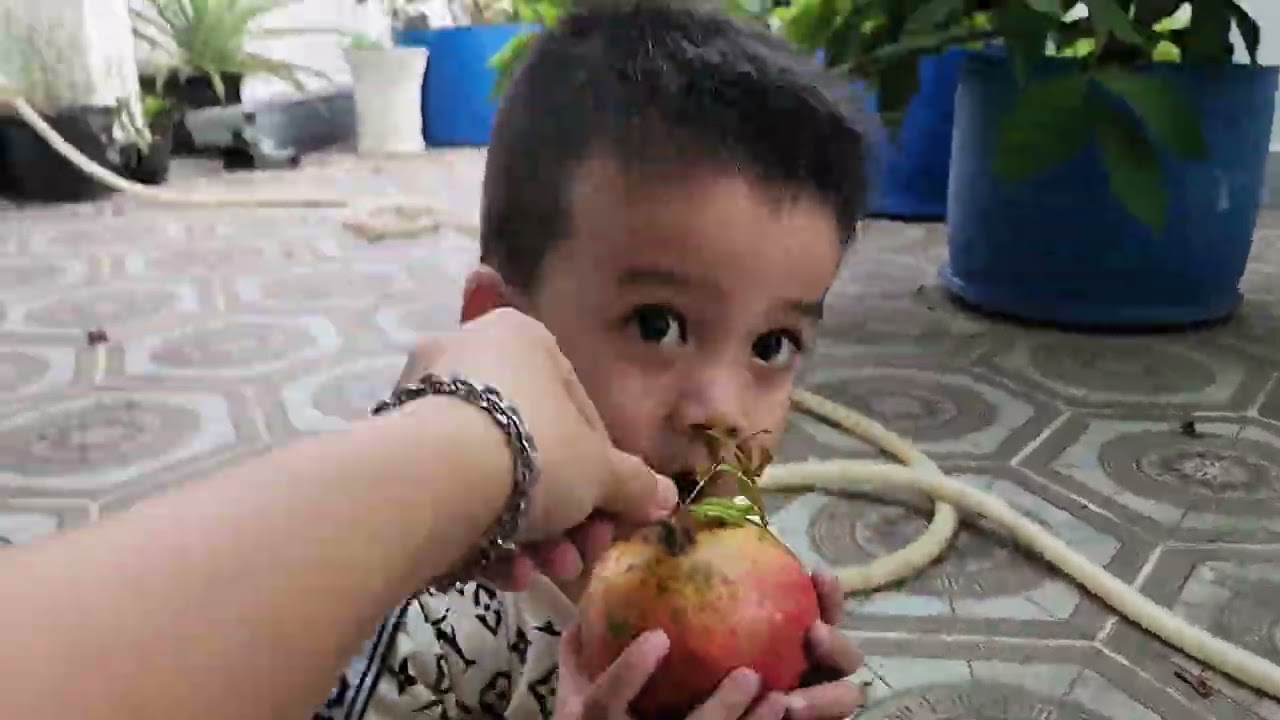 Nghép đi thăm vườn nhà