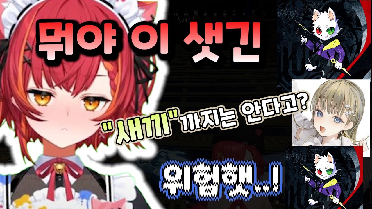 두 멤버의 이지메를 못 견디고 튀어 나와버린 그 단어 [브이스포/네코타 츠나]