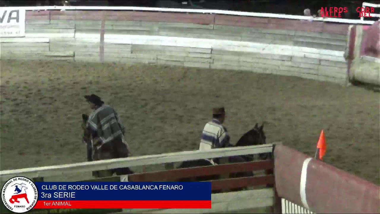 CLUB DE RODEO VALLE DE CASABLANCA FENARO