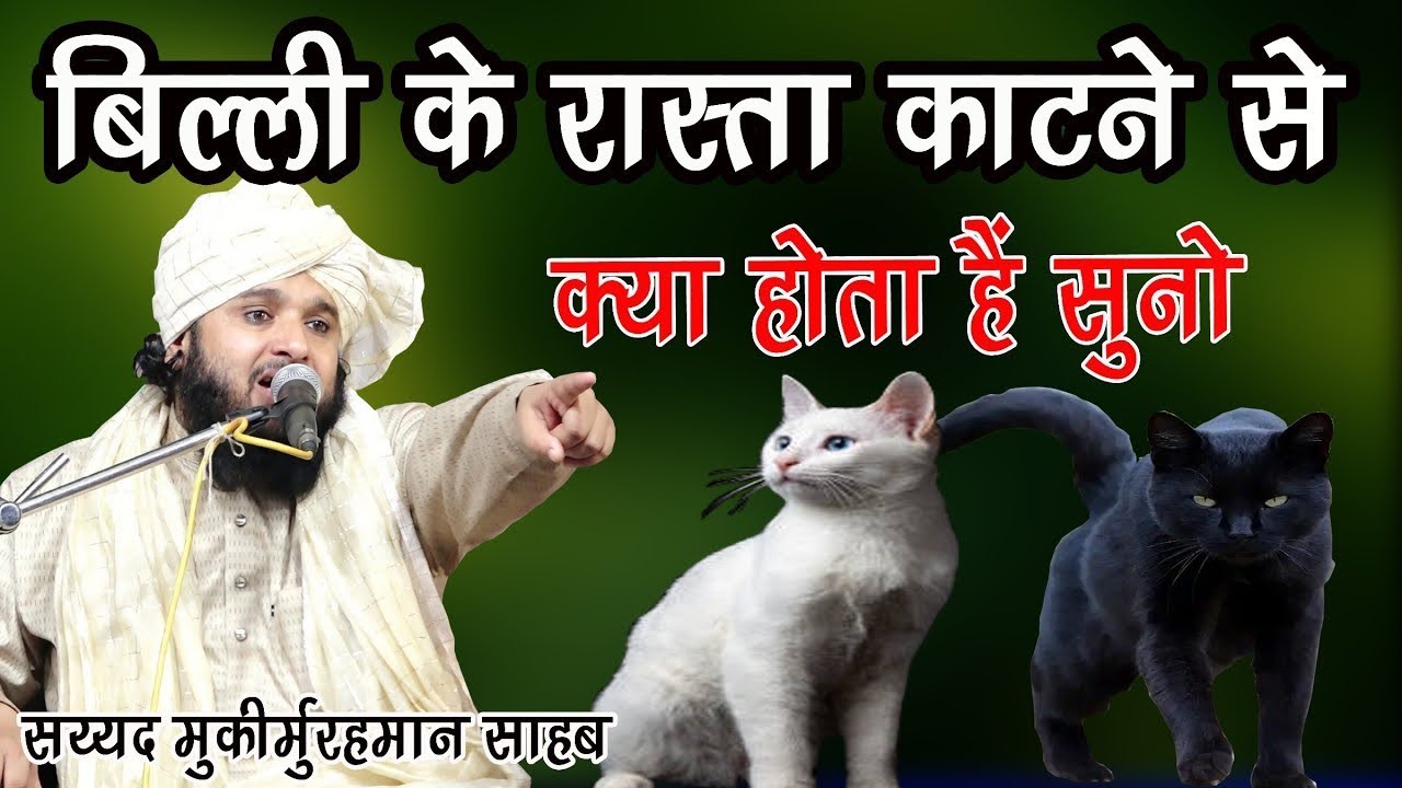 Billi ka Rasta  Katne se kya Hota Hai  What to do if a Cat Crosses Your Path by Sayyed muqim ur rehm