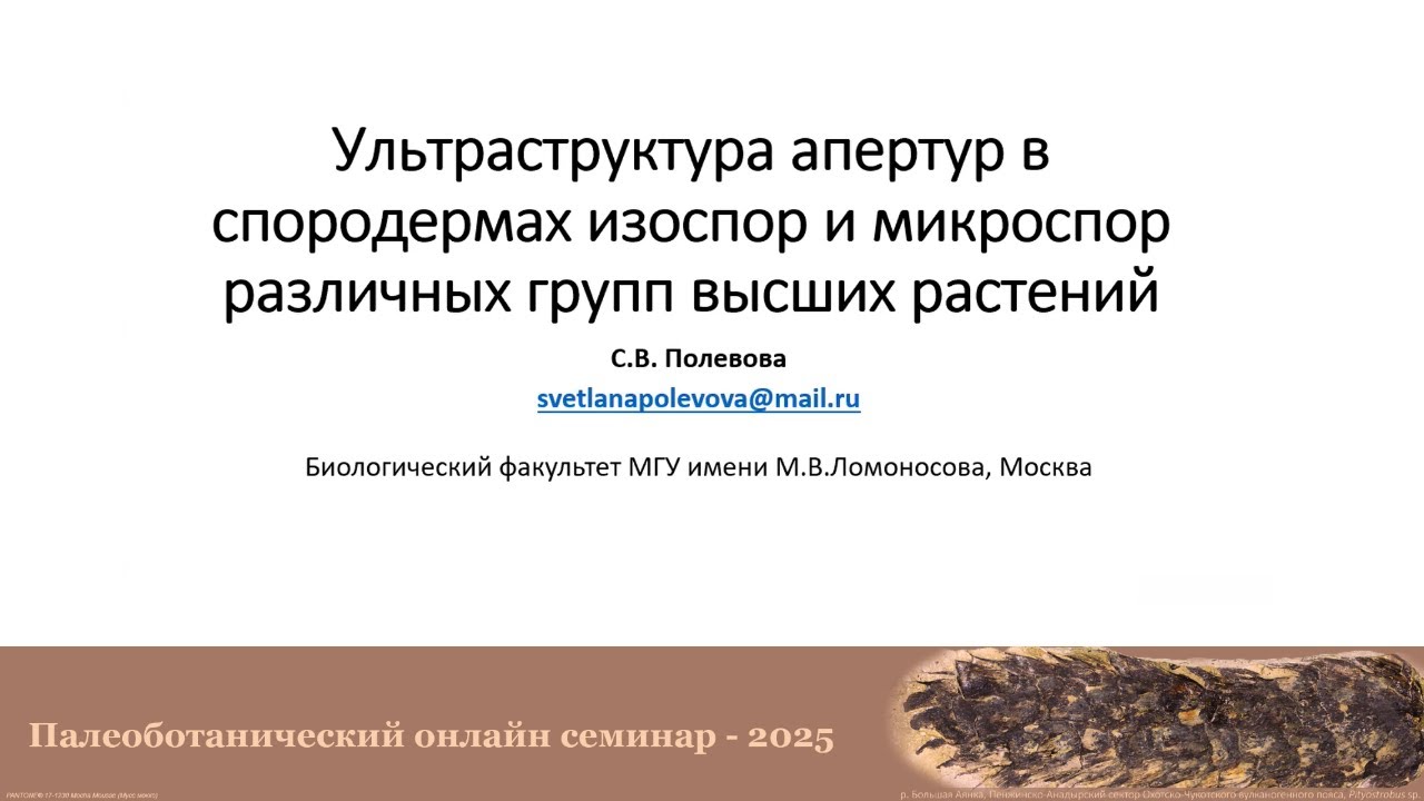 Полевова С.В. - Ультраструктура апертур в спородермах изоспор и микроспор