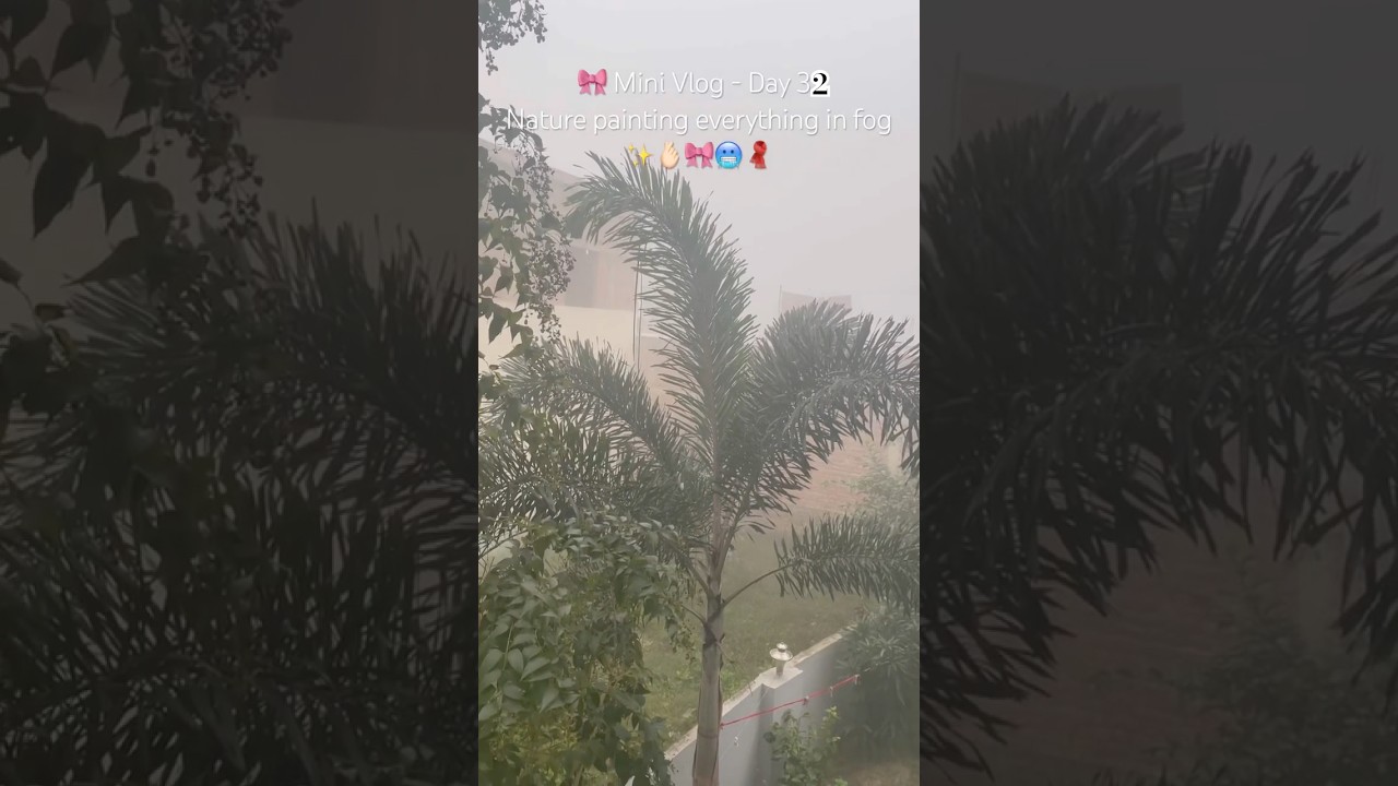 Day32.Cold air,foggy view  