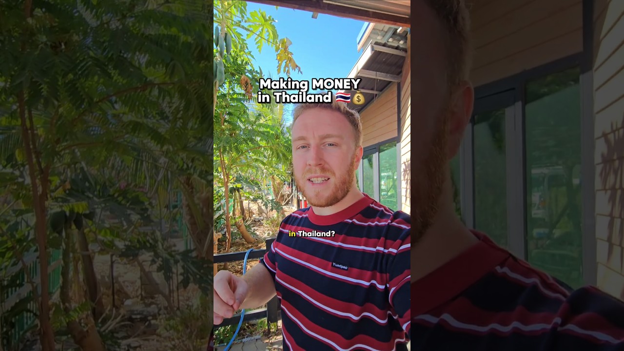 How we make money living in Thailand 🇹🇭💰 #thailand #money #work
