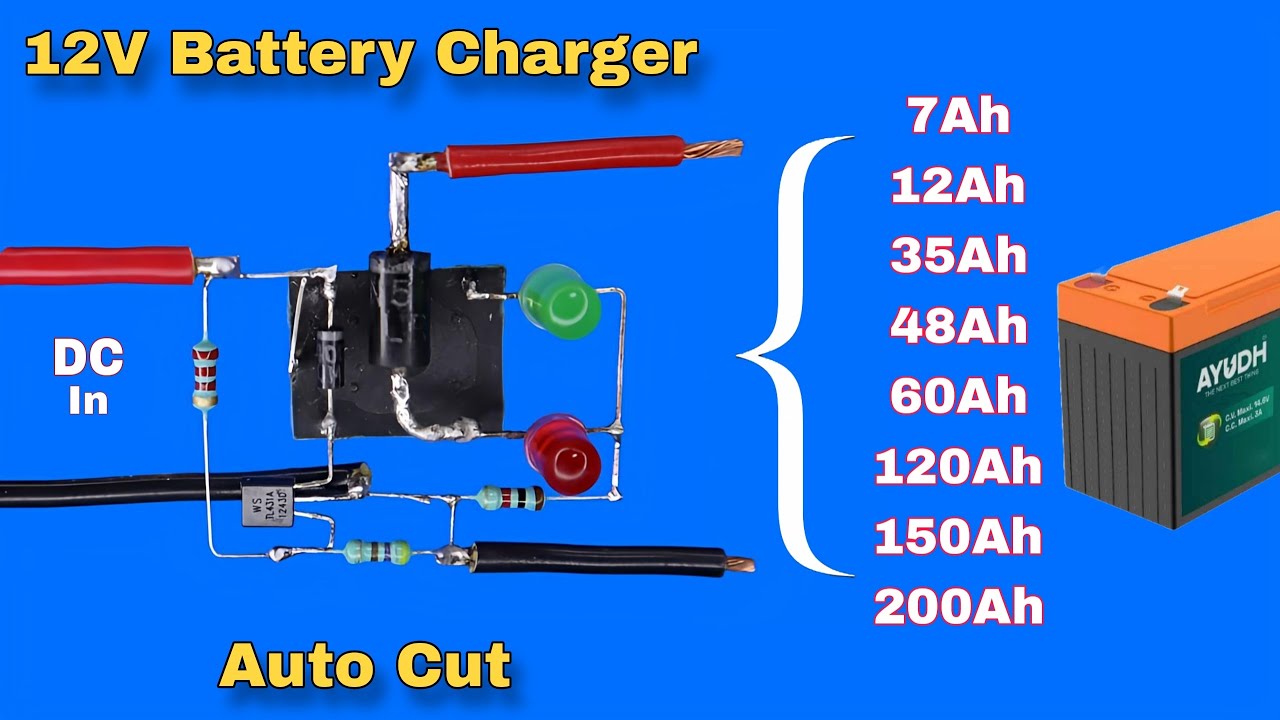 auto cut off 12 volt battery charger