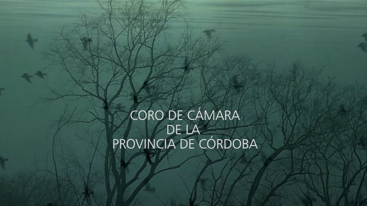 Se equivocó la paloma