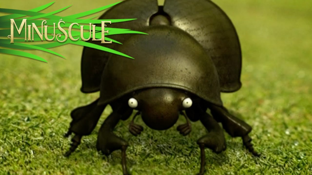 Minuscule - Bouse au Carr&eacute;/Dung Beetle Blues (season 1)