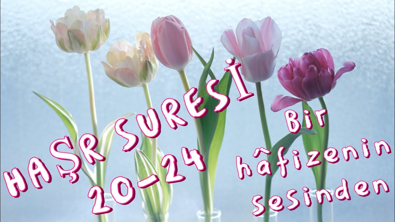 Haşr Suresi (20-24. ayetler) | Uşşak makamı | Bir Hâfizenin Sesinden