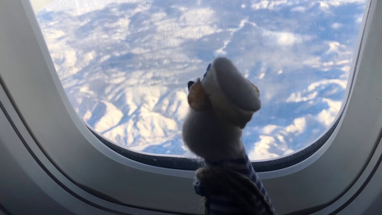 #mystopover