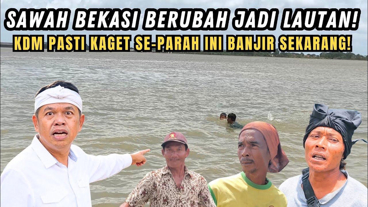 KDM LIHAT INI❗SAWAH BEKASI BERUBAH JADI LAUT❗BANJIR TAHUN 2026 INI TERPARAH DI BANDING SEBELUMNYA❗
