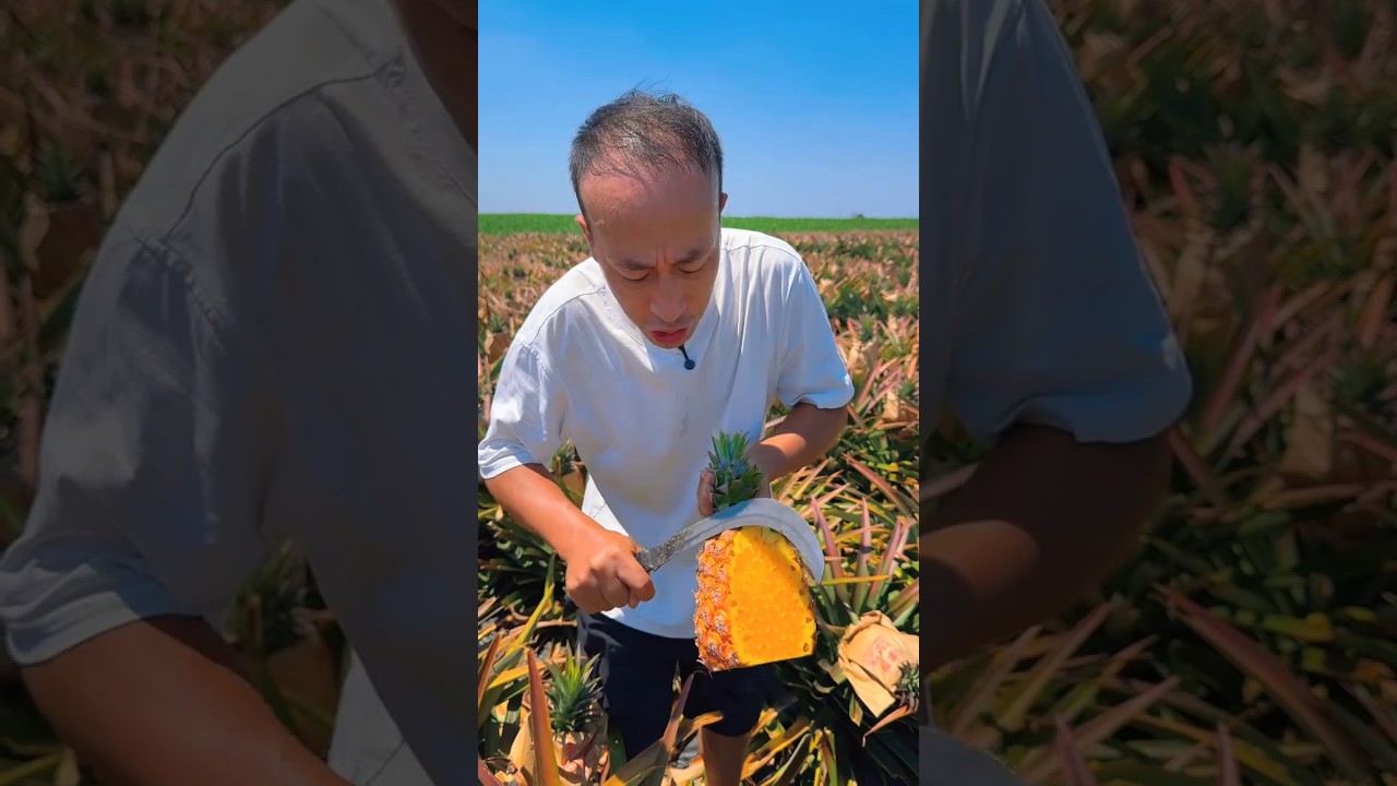 🍍