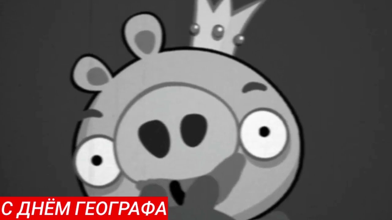 Bad Piggies. Король свин код. С Днём Географа