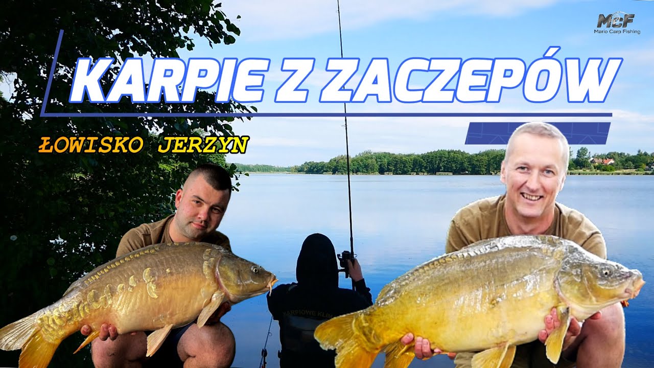 KARPIE Z ZACZEPÓW / ŁOWISKO JERZYN / ST 35