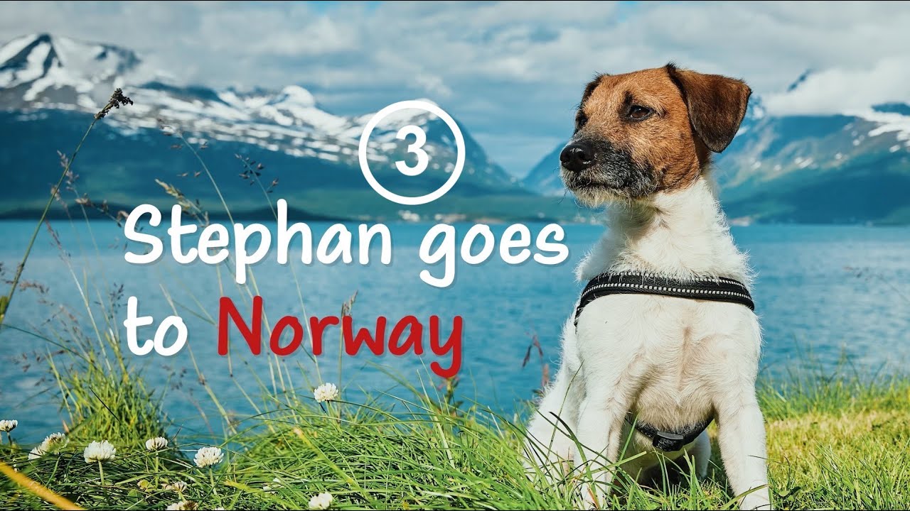Stephan goes to Norway - Part Three (with subtitles in English)