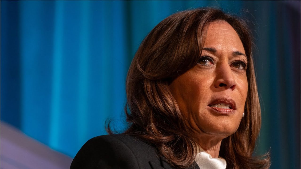 'Motherf***er': Kamala Harris blasted CNN host following tense interview, new book reveals