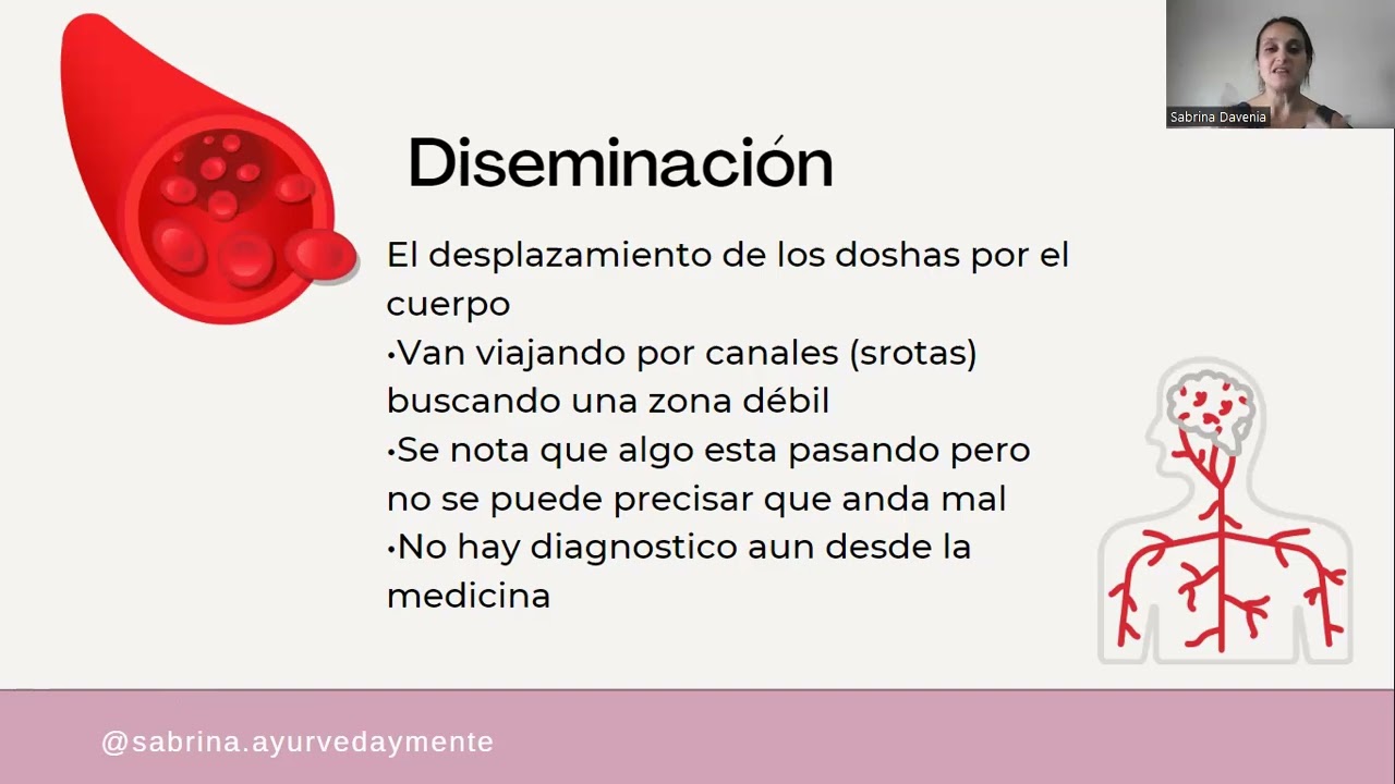 Los 5  Estadios de la enfermedad  video 3