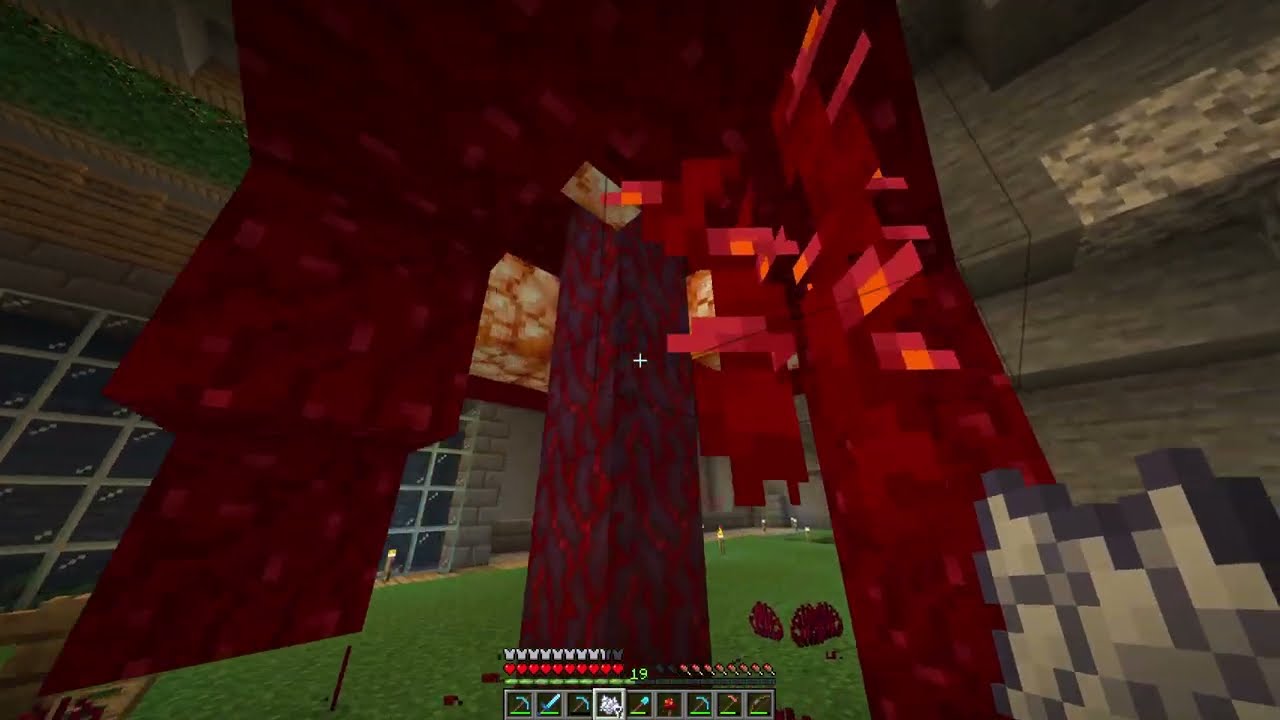 Crusvde Plays Minecraft - Ep. 6: Beginner Storage Room