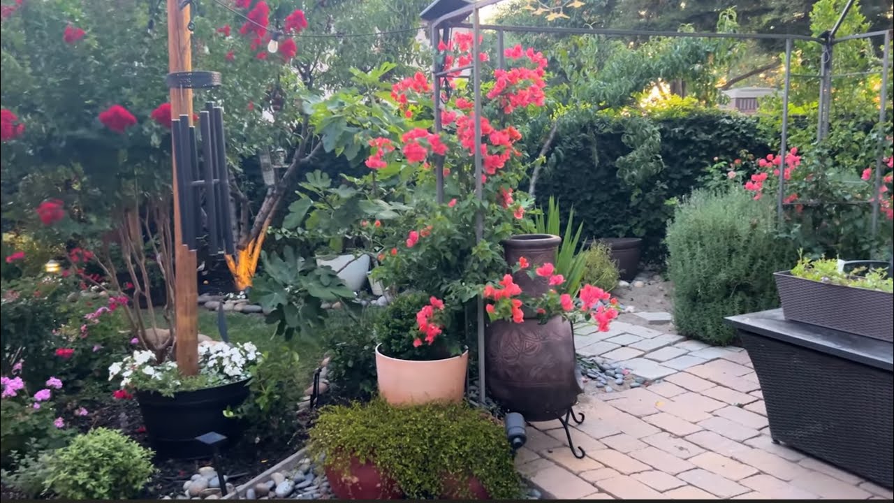 Take a Peaceful Walk in My Garden – Perfect for Garden Lovers  🌻🍃