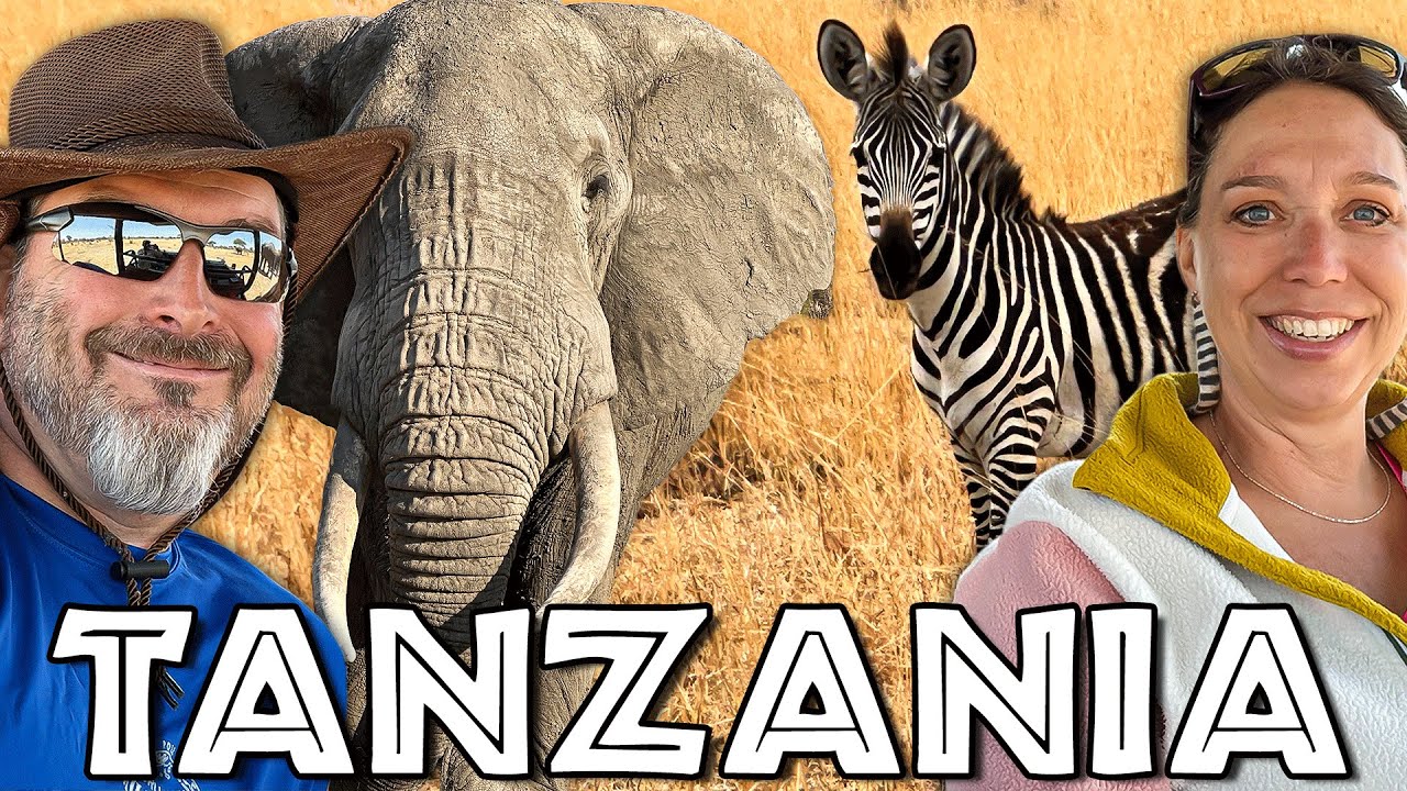 Tanzania Safari at Little Chem Chem: Lions, Elephants & the Most Unreal Wildlife on Earth
