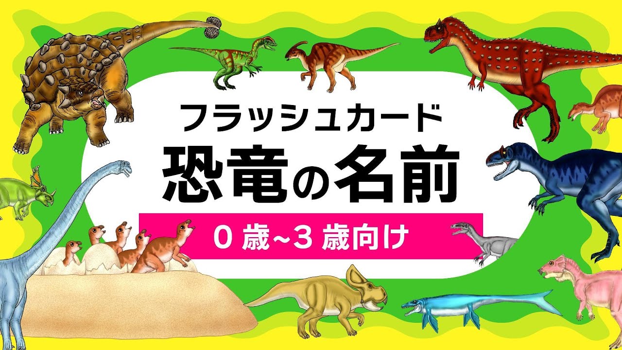 【恐竜の名前】フラッシュカード（52種類）