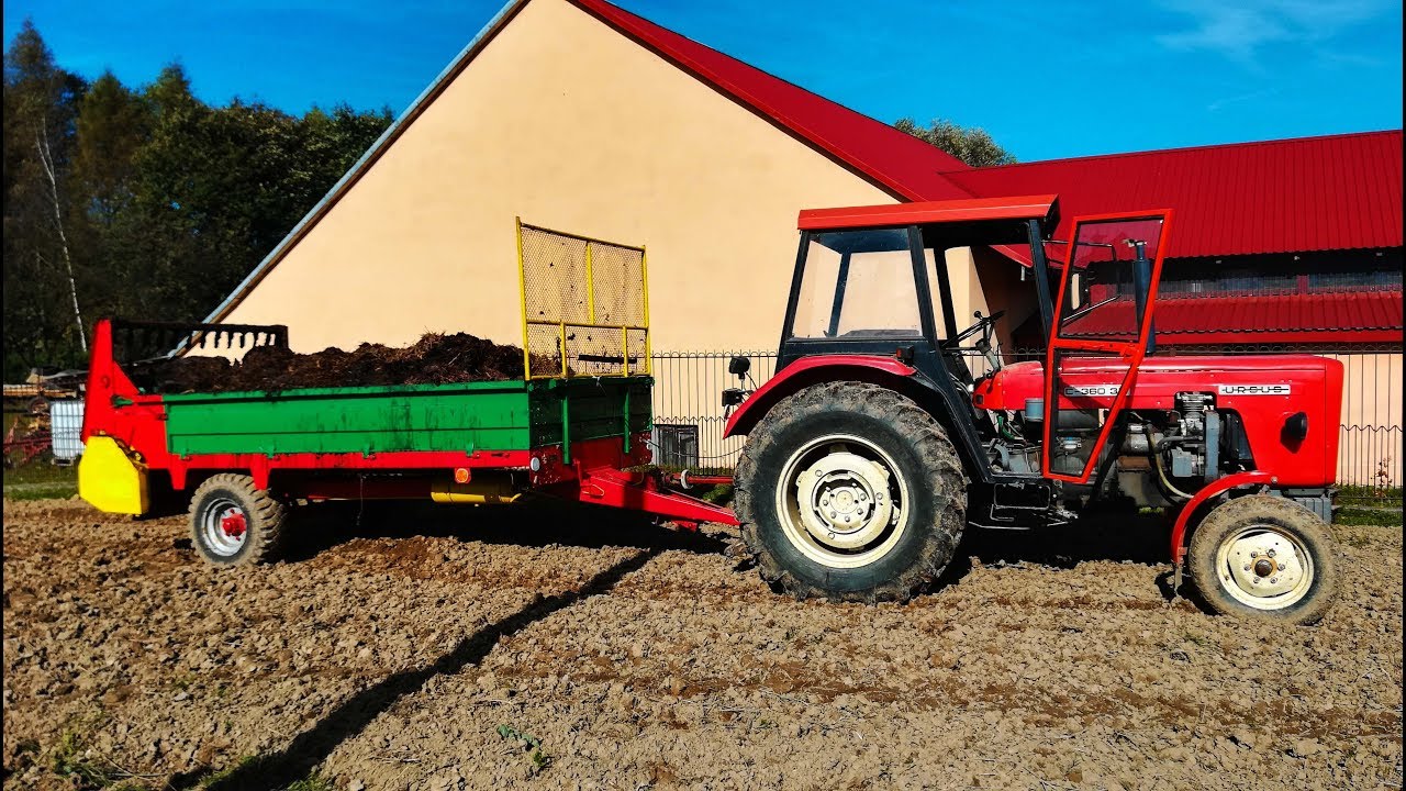 Jesień 2019| Wywóz obornika| Orka| Uprawa