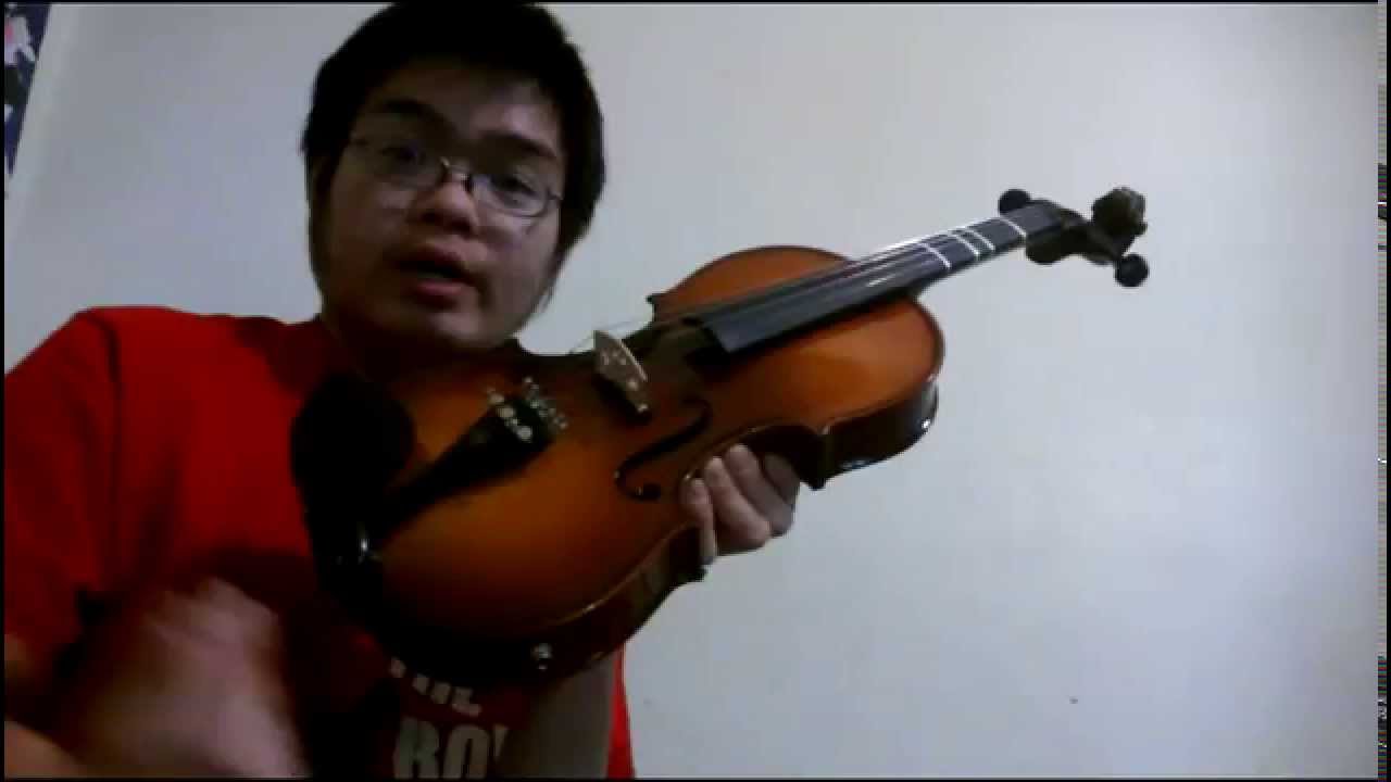 Cecilio cvnae-330 acoustic electric violin review