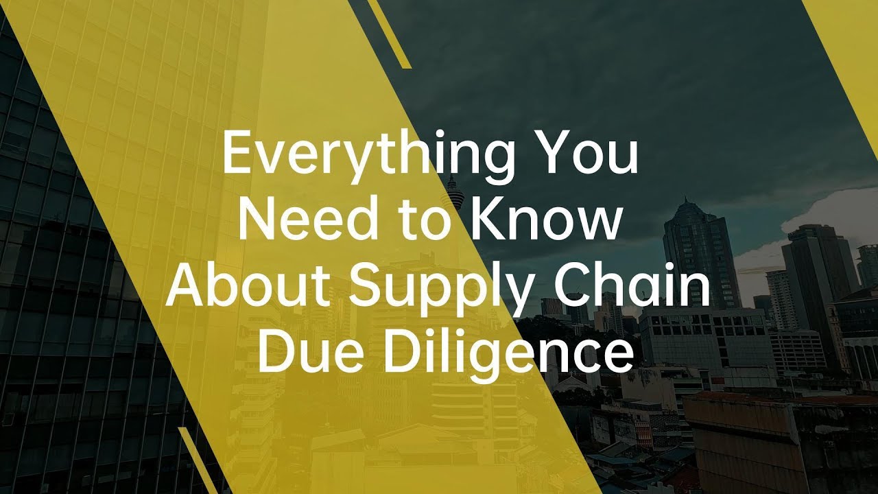 Everything You Need to Know About Supply Chain Due Diligence