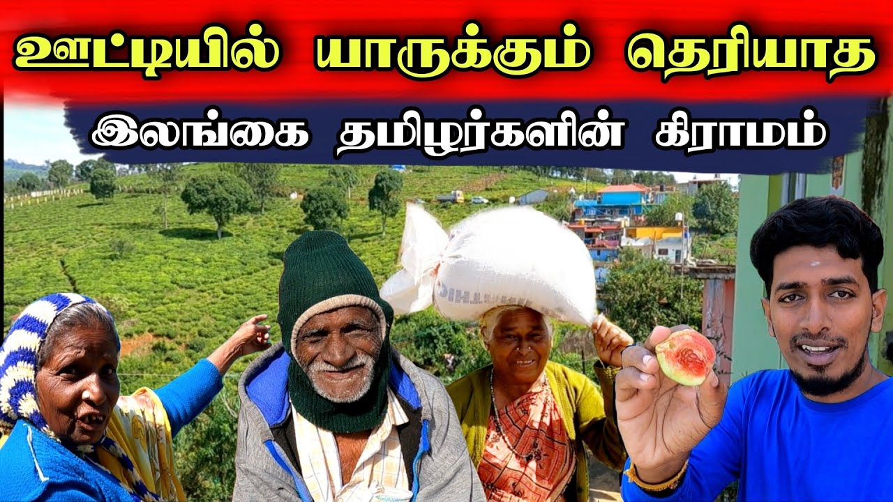 ஊட்டியில் யாரும் அறியாத இலங்கை தமிழர்களின் கிராமம் 🇮🇳🇱🇰 A village of Sri Lankan Tamils ​​in Ooty 😊