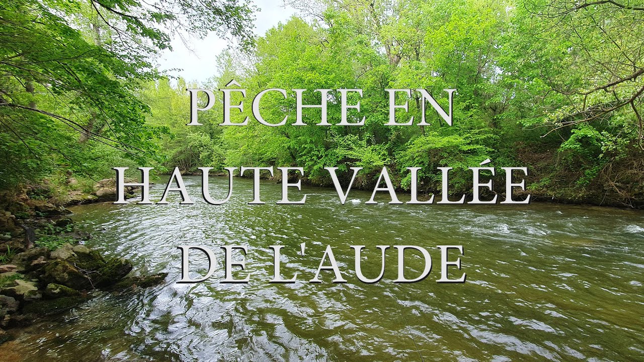 Découverte de la Haute Vallée de l'Aude en nymphes au toc, une rivière Magnifique et Poissonneuse !