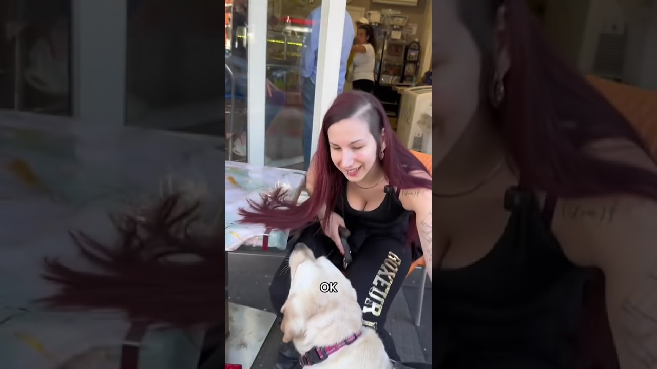 QUESTA RAGAZZA È NON VEDENTE E GUARDATE CHE RAPPORTO MERAVIGLIOSO HA CON IL SUO CANE GUIDA!! 