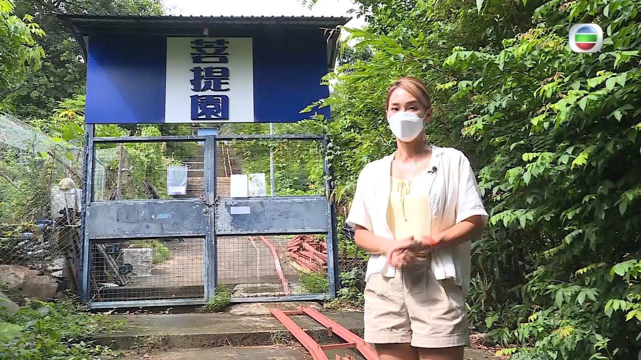 東張西望｜荃灣菩提園｜法師離世｜邪教乘機侵占｜無限斂財｜覬覦值20億土地
