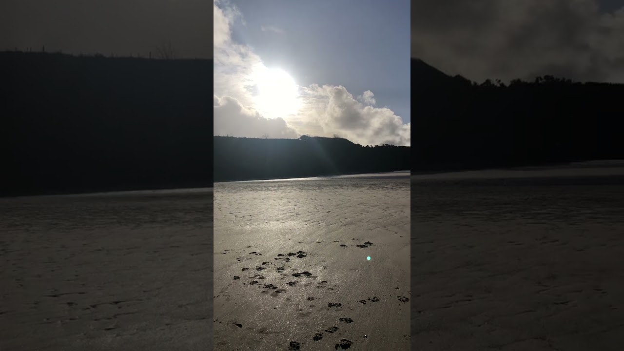 Anglesey Dog Walk Lligwy beach 