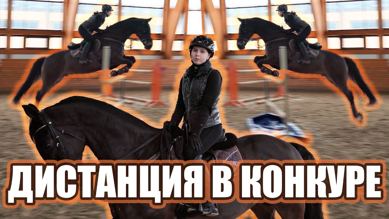 Конкурная тренировка. Разминка перед прыжками. Дистанция в конкуре. Подготовка к соревнованиям.