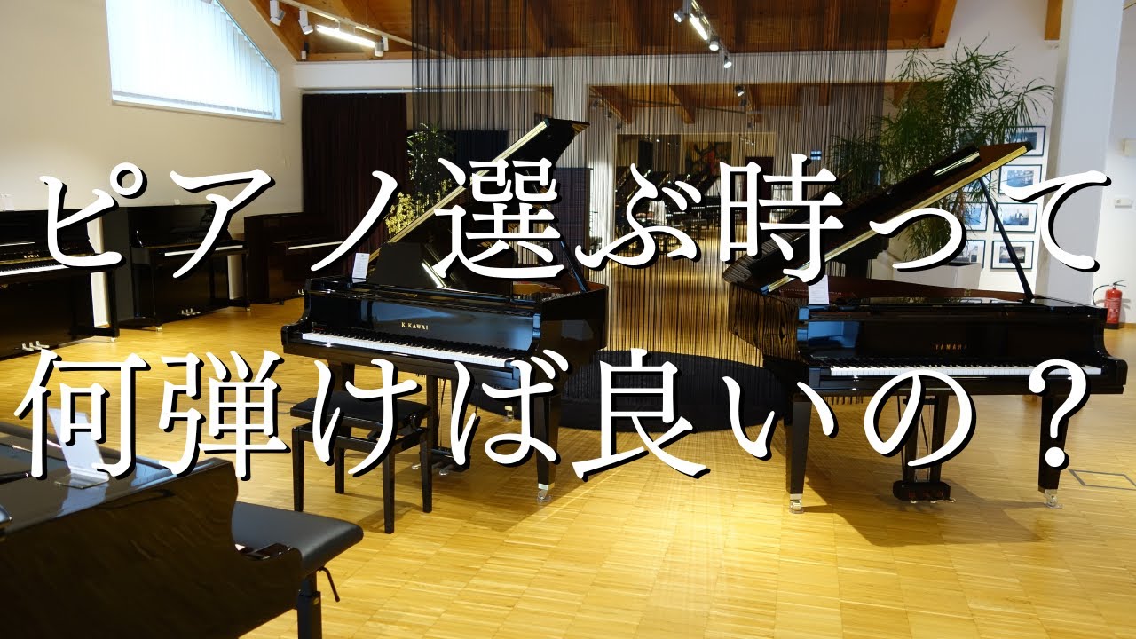 【お子さま・大人の趣味・プロ】パターン別！ピアノ屋さんで試弾・・何を弾く？