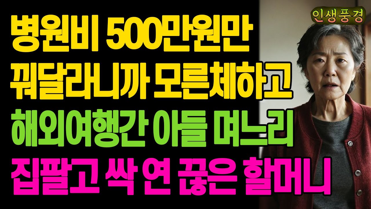 병원비 500만원만 꿔달라니까 모른체하고 해외여행간 아들 며느리 집팔고 싹 연 끊은 할머니 노년의 삶의 지혜 행복한 노후생활 부모자식갈등 사연 이야기 오디오북