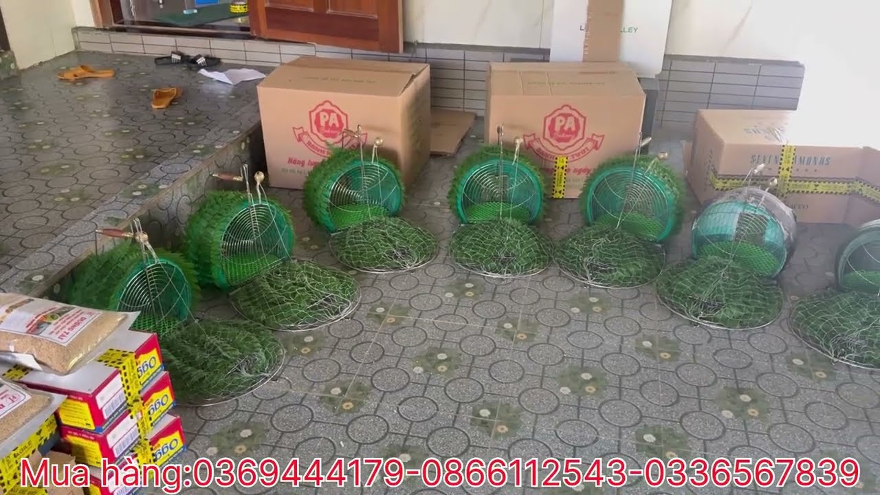 Những đơn hàng gần như cuối năm của bên e ae nhanh tay đặt hàg để gửi trước tết nha bẫy quốc,nghịch…