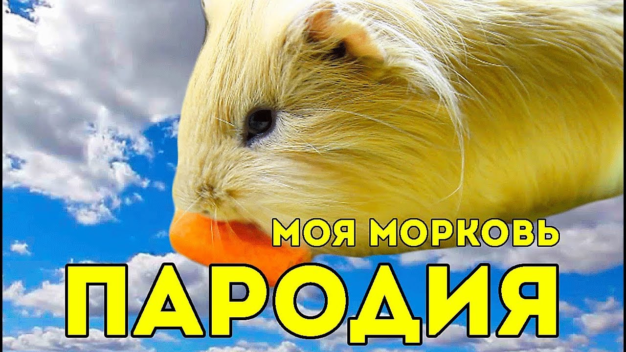 ПАРОДИЯ: Макс Барских — Моя любовь (Моя морковь) / SvinkiShow
