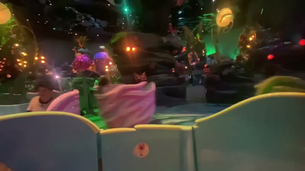 The Whirlpool Full Ride Tokyo DisneySea / ワールプール 東京ディズニーシー