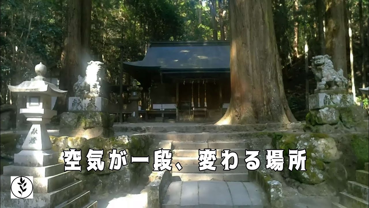 空気がまるで違う…龍神を最も近くに感じる場所｜奈良・室生龍穴神社の神秘！