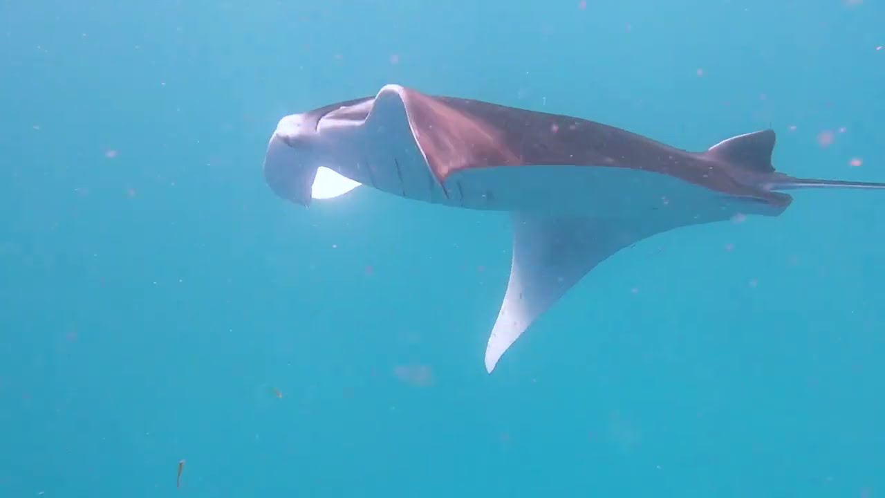 Komandoo Maldives