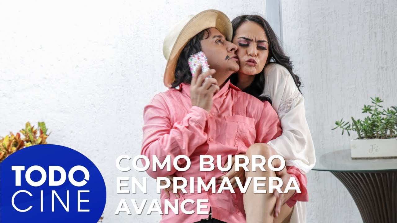 Como burro en primavera | Película | Avance | #todocinegratis #todocinestreaming #todocine